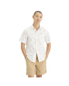 Camisa ML