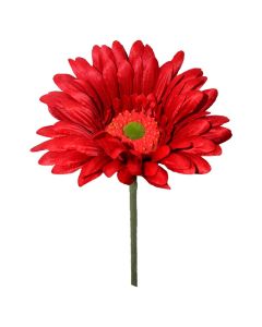 Vara Gerbera