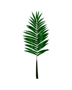 Follaje Mini Monstera
