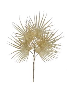 Ramo Decor
