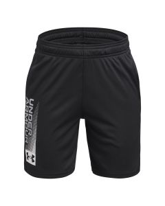 UA Tech WDMK Shorts
