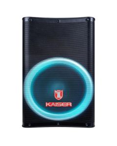 Bafle Profesional 15" con MICRÓFONO