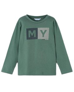 Camiseta M / L Básica