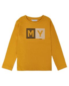 Camiseta M / L Básica