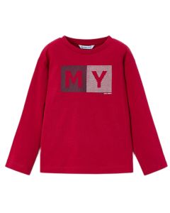 Camiseta M / L Básica