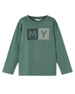 Camiseta M / L Básica