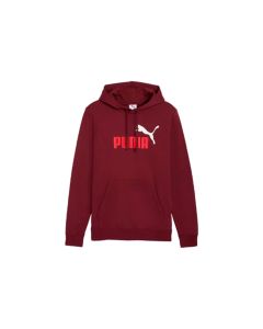 ESS 2 Color NO. 1 Logo Hoodie FL