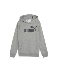 ESS NO. 1 Logo Hoodie TR B