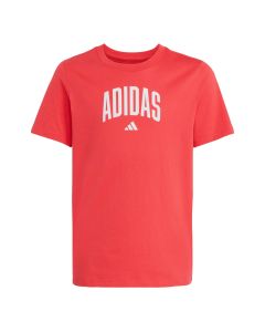 J Colleg Playera