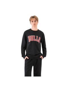 Sudadera Bulls