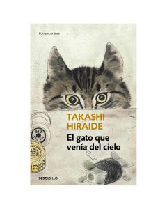 el Gato que Venia del Cielo