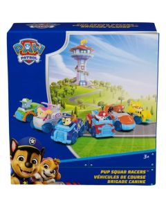 Pup Squad Racer Asst Paw Patrol