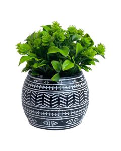 Planta con POTE 17X17X14CM
