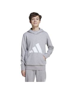 Sudadera J BL FT 280