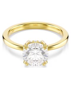 Anillo de Cóctel Stilla Attract