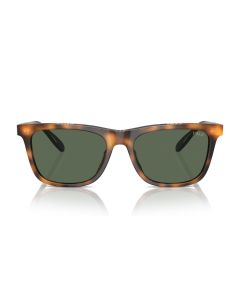 Lente Solar Caballero Polo