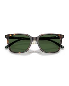 Lente Solar Caballero Polo