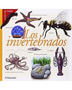 los Invertebrados
