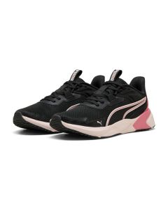 Disperse XT 4 WNS