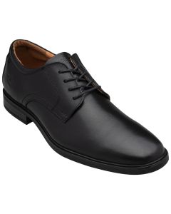 Zapato de Vestir