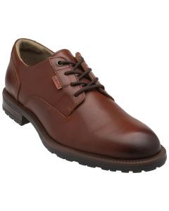 Zapato de Vestir