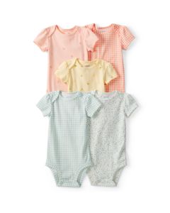 Set 5 PZAS Body M / C