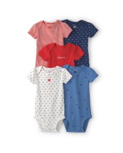 Set 5 PZAS Body M / C