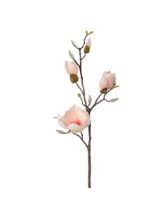 Vara de Magnolia 32"