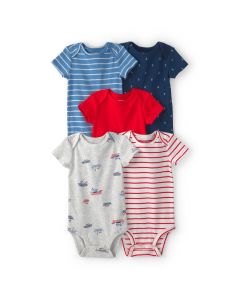 Set 5 PZAS Body M / C
