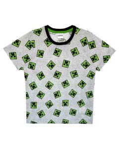 Playera Minecraft
