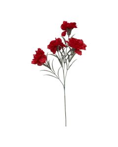 Vara de Clavel