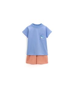 Conjunto Short Tiburón para Niño