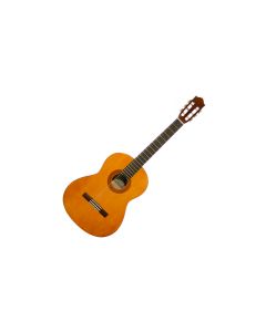 Guitarra