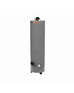 BOILER DEPÓSITO GAS LP 30 GALONES